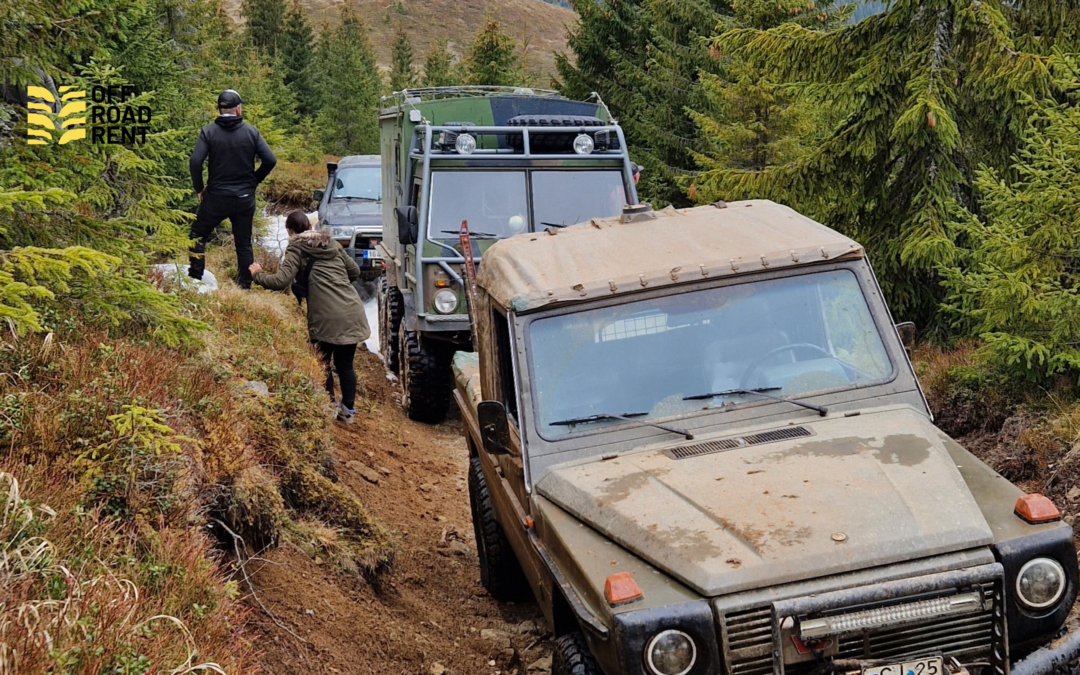 Challenging Spring in the Carpathian Mountains: Exploring Nature’s Wild Side