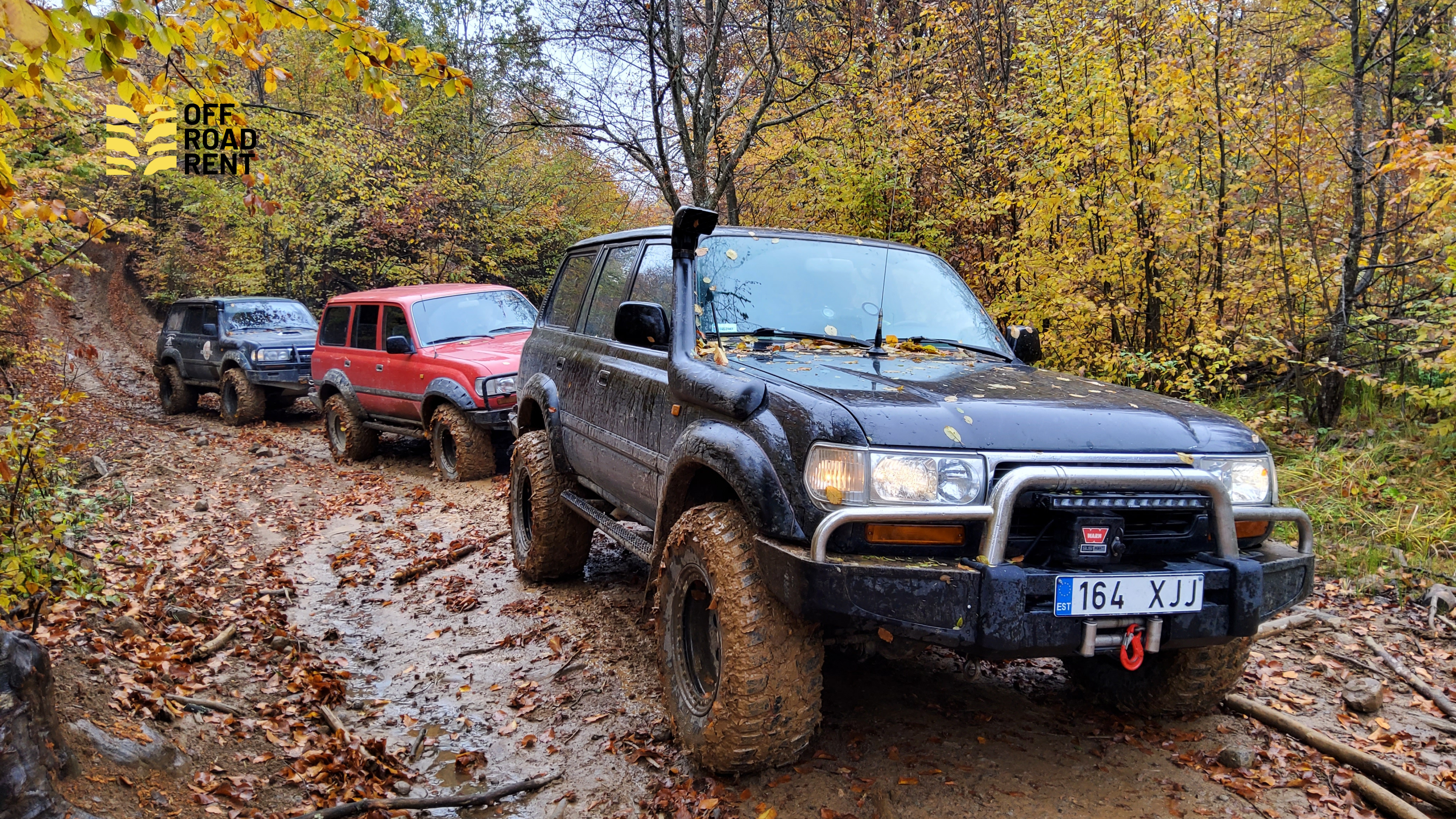 Off-roading In Carpathian Mountains